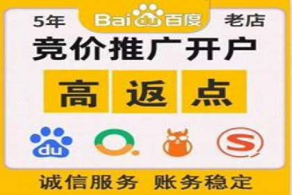 SEM搜索引擎优化策略解析与应用案例
